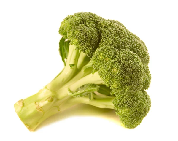 Broccoli floret — Stock Photo, Image