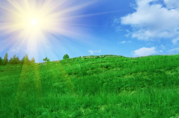 日当たりの良い夏の日の性質 — ストック写真