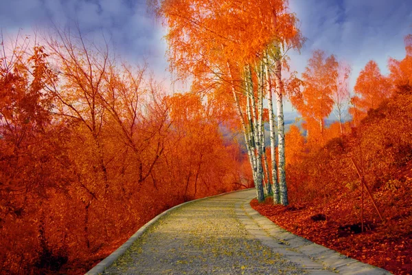 Autumnal alley — Stock Photo, Image