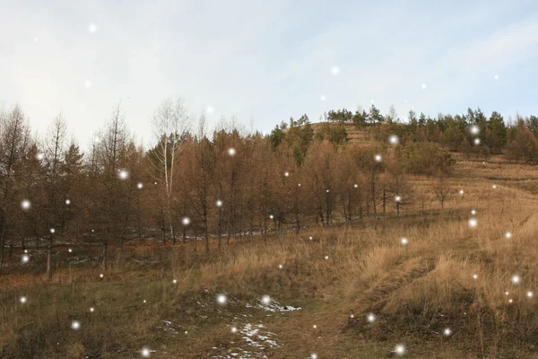Sunny day. The first snow — Stock Photo, Image