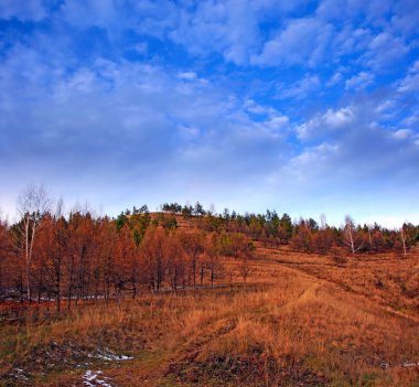 Autumn landscape with mountain clipart