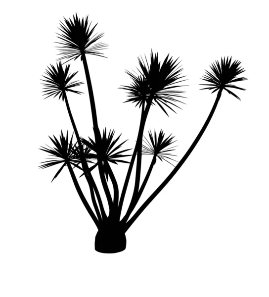Czarny kwiat — Zdjęcie stockowe