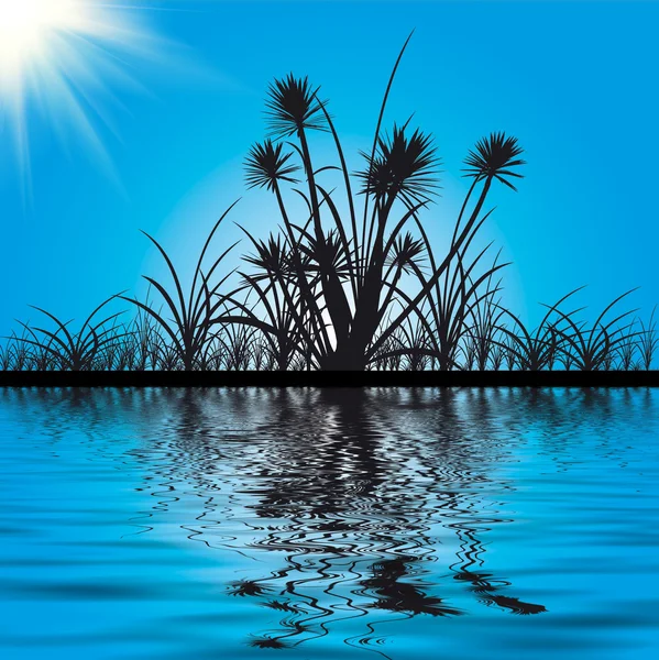 Silhouettes of grass with the reflection — Stock Photo, Image