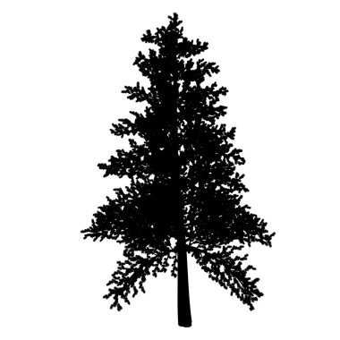 Silhouettes of fur-trees clipart