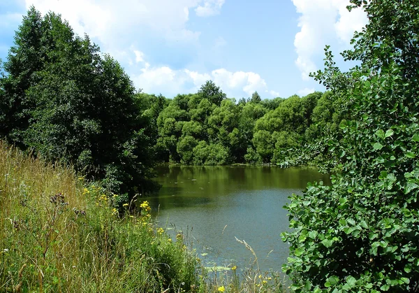 stock image Lake