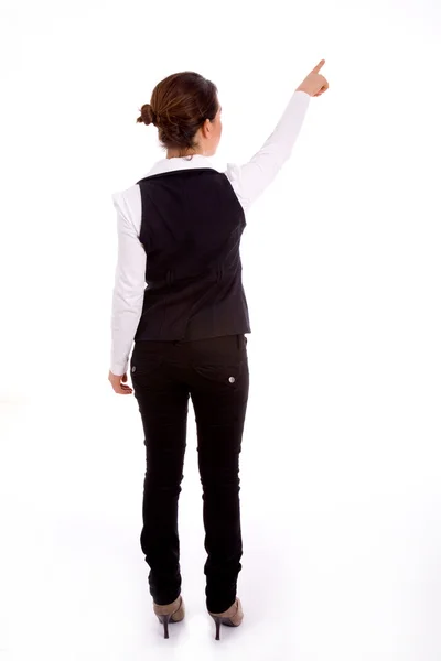 Postura traseira de mulher de negócios indicando — Fotografia de Stock