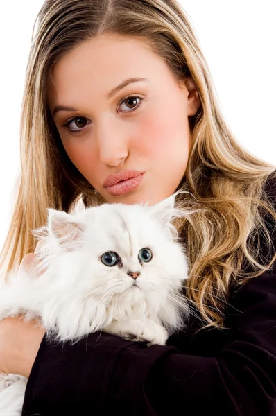 stock image Beautiful woman holding white kitten