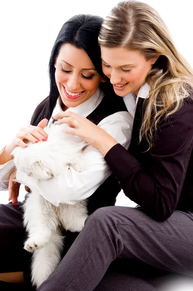 Young sisters playing with cat — Stock Photo, Image