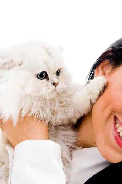 Молодая женщина играет с котенком — стоковое фото