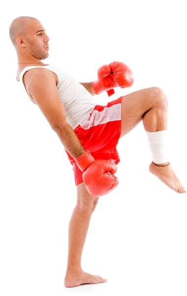 Лысый боксер в позе пинка — стоковое фото