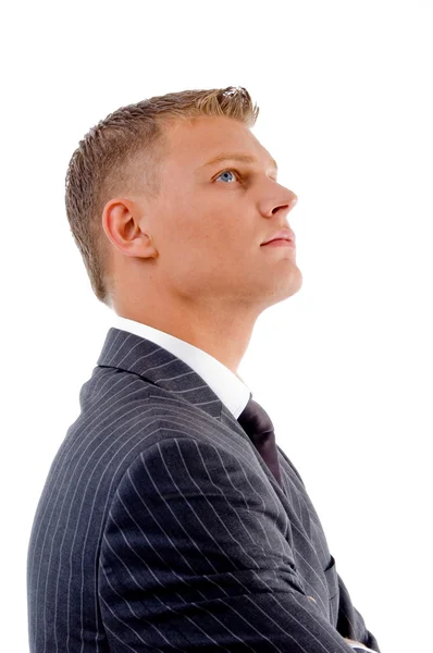 Side view of handsome accountant — Stock Photo, Image