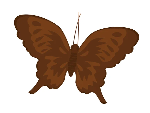 Sparkled 장식된 나비 — 스톡 사진