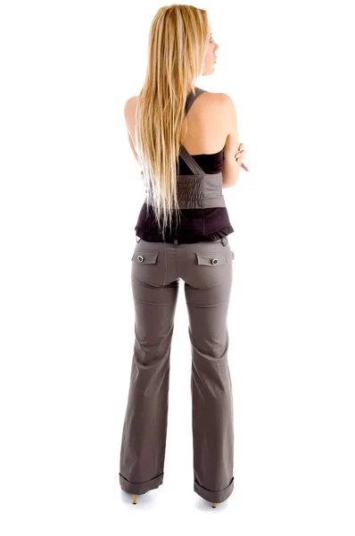 Volle Rückenpose der blonden Hündin — Stockfoto