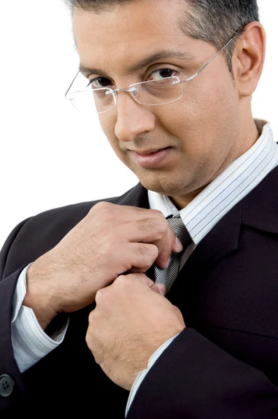 Portrait of ceo holding his tie — Stock Photo, Image