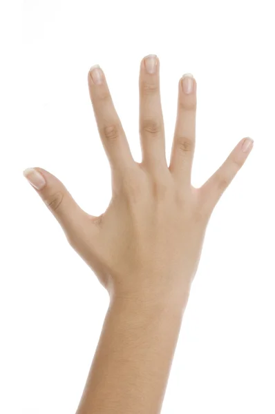 Hand mit Zählung von fünf — Stockfoto