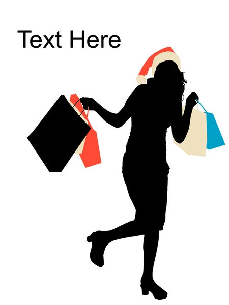Female holding shopping bags — Stock Photo, Image