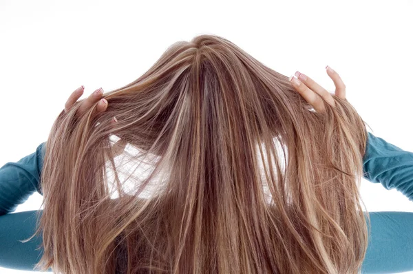 金发女人的头发回构成 — 图库照片