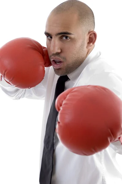 Geschäftsmann trägt Boxhandschuhe — Stockfoto