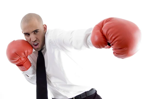 Бізнесмен в дії в боксерських рукавичках — стокове фото
