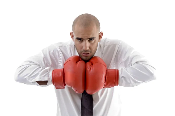 Affärsman poserar med boxhandskar — Stockfoto