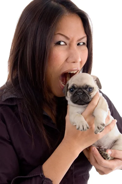 Angry young female holding puppy — Stock Photo, Image