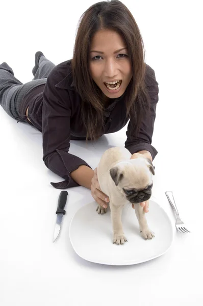 Genç kadın koyarak köpek yavrusu plaka üzerinde — Stok fotoğraf