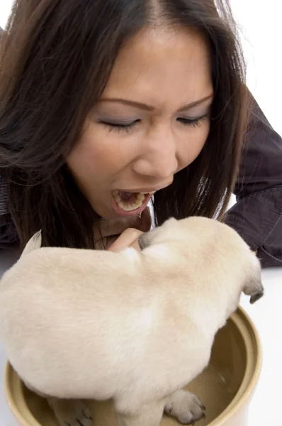 Pretty woman playing with puppy — Stock Photo, Image