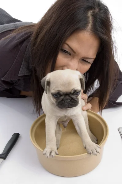강아지와 함께 재생 하는 젊은 여자 — 스톡 사진