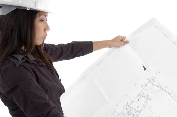 Vrouwelijke architect kijken naar blauwdrukken — Stockfoto