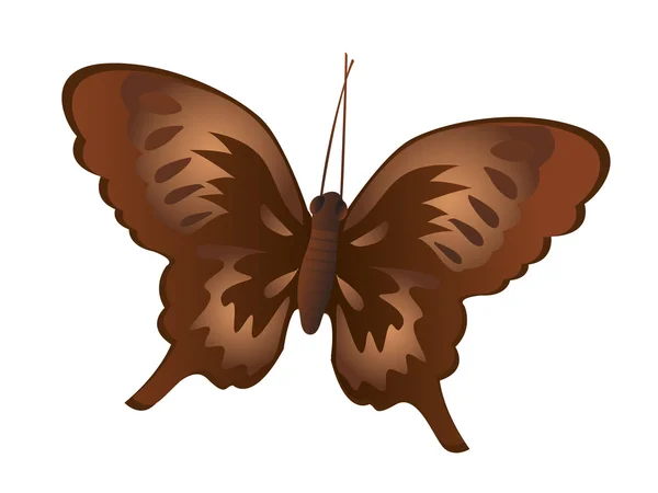 Schitterde ingerichte vlinder — Stockfoto