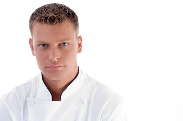 Serious male cook posing — Stock Photo, Image