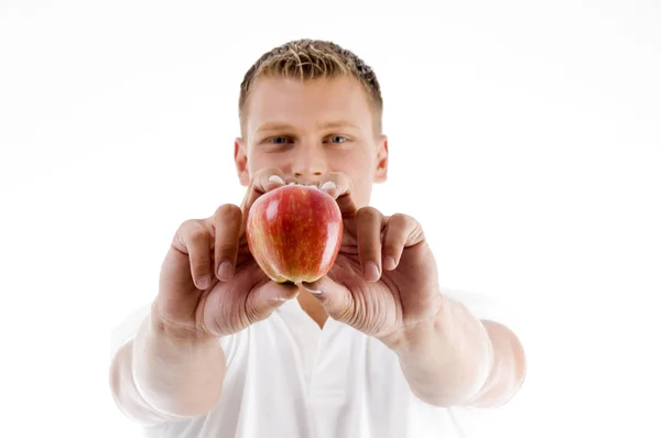 Мужчина держит яблоко обеими руками — стоковое фото