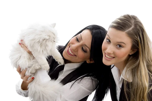 Young friends playing with cat — Stock Photo, Image