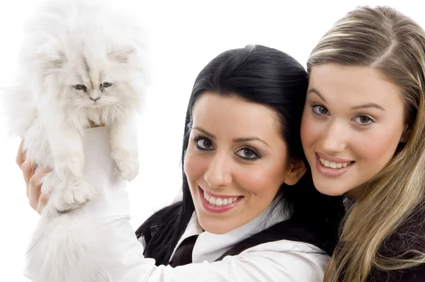 Молодые женщины держат кота — стоковое фото
