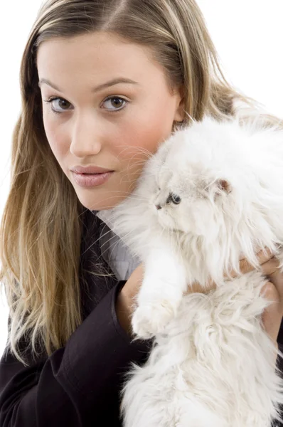彼女の子猫でポーズ女性モデル — ストック写真