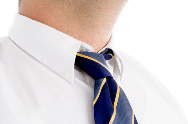 Professional man's tie