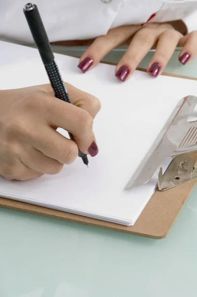 Kobieta pisze na notatnik Zdjęcie Stockowe