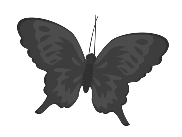 Schitterde vlinder — Stockfoto