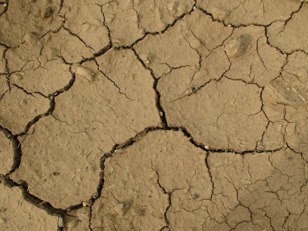 Sequía — Foto de Stock