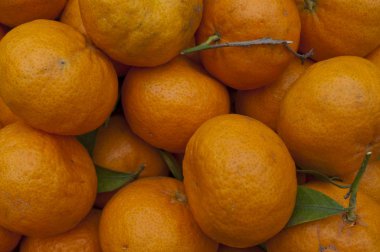 mandarins