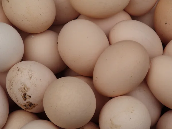 Eieren — Stockfoto