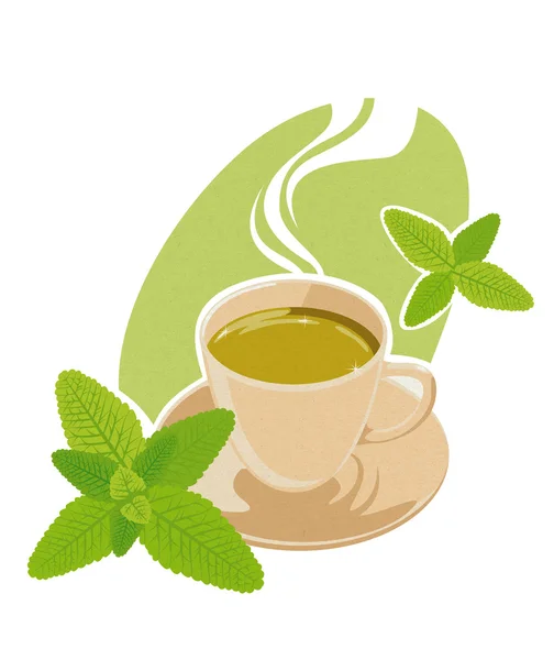 Mint tea — Stock Vector