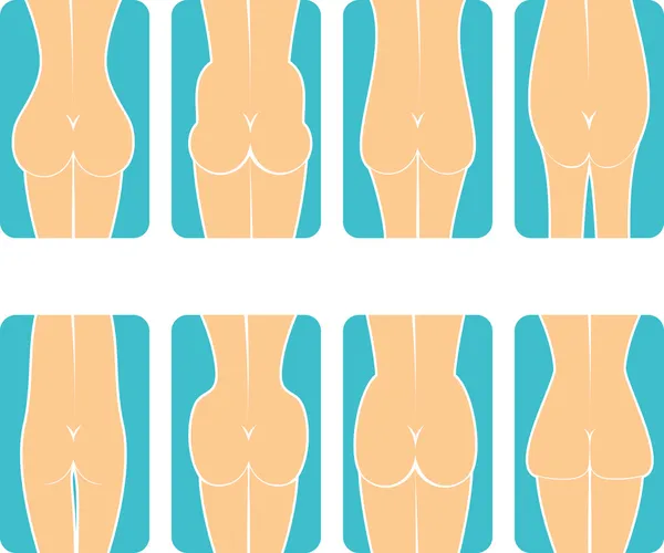 Fesses féminines — Image vectorielle