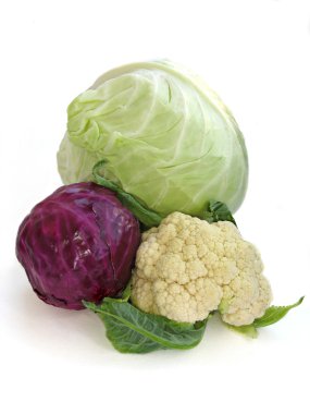Cabbage mix clipart