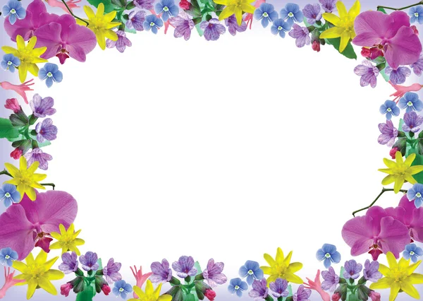 Frame van een bloemen — Stockfoto