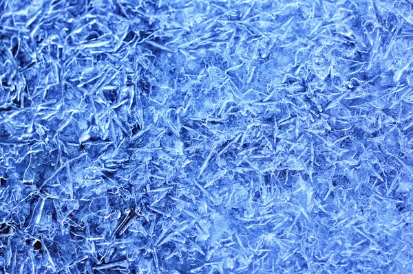 stock image Frosty natural pattern