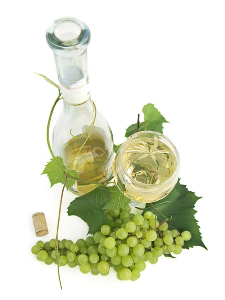 Wine, grapevine and grapes — Stock Photo, Image