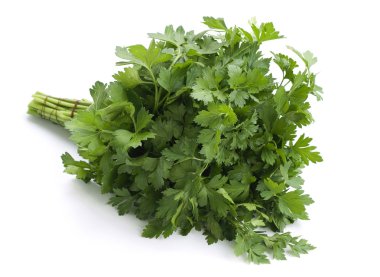 Parsley clipart