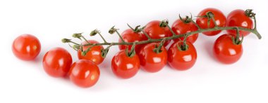 Cherry tomatoes on the branch clipart