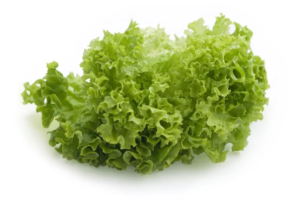 Saláta — Stock Fotó